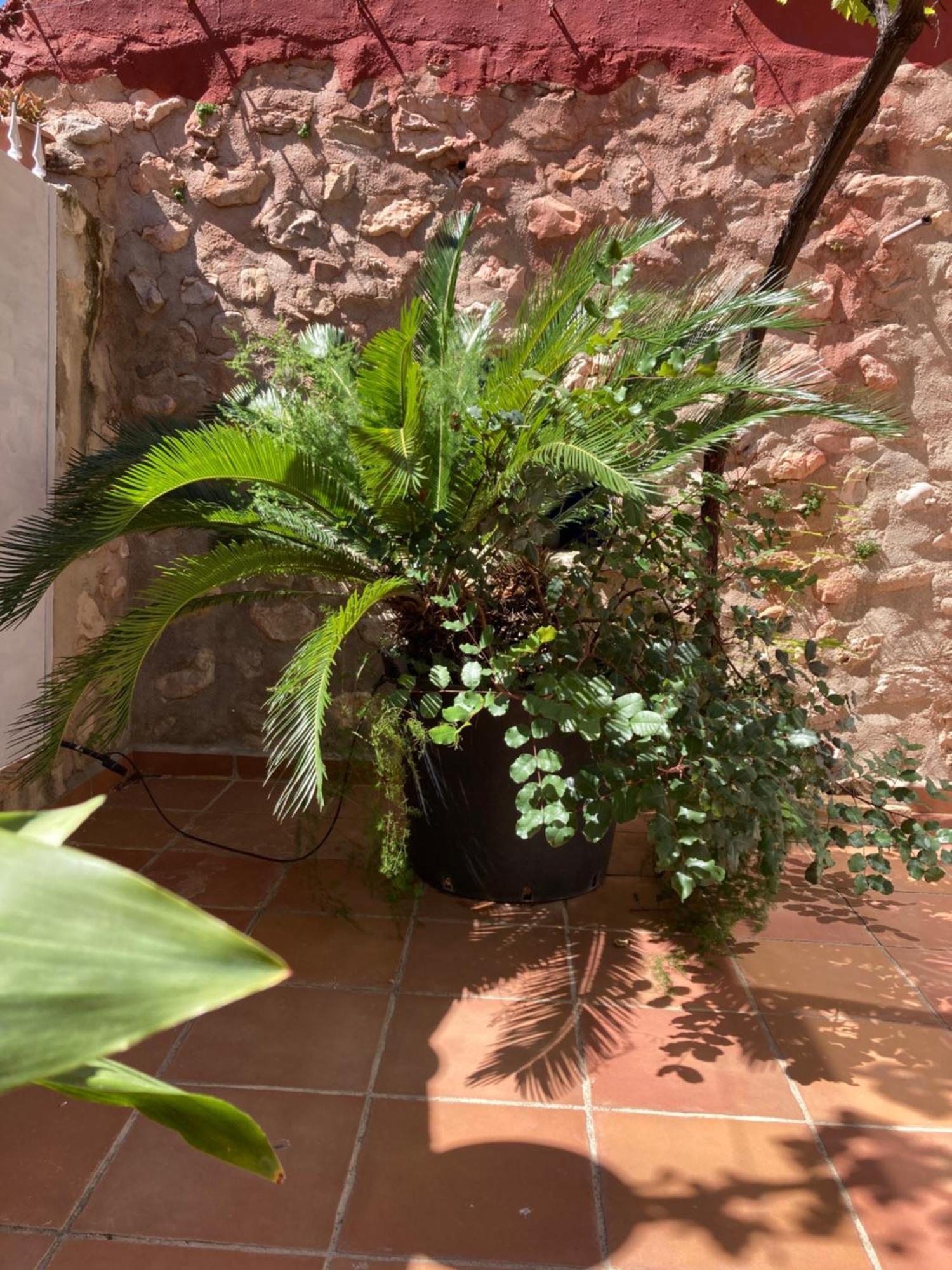 Casa Gallinera Benissiva Bagian luar foto